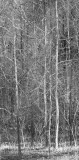 painting image